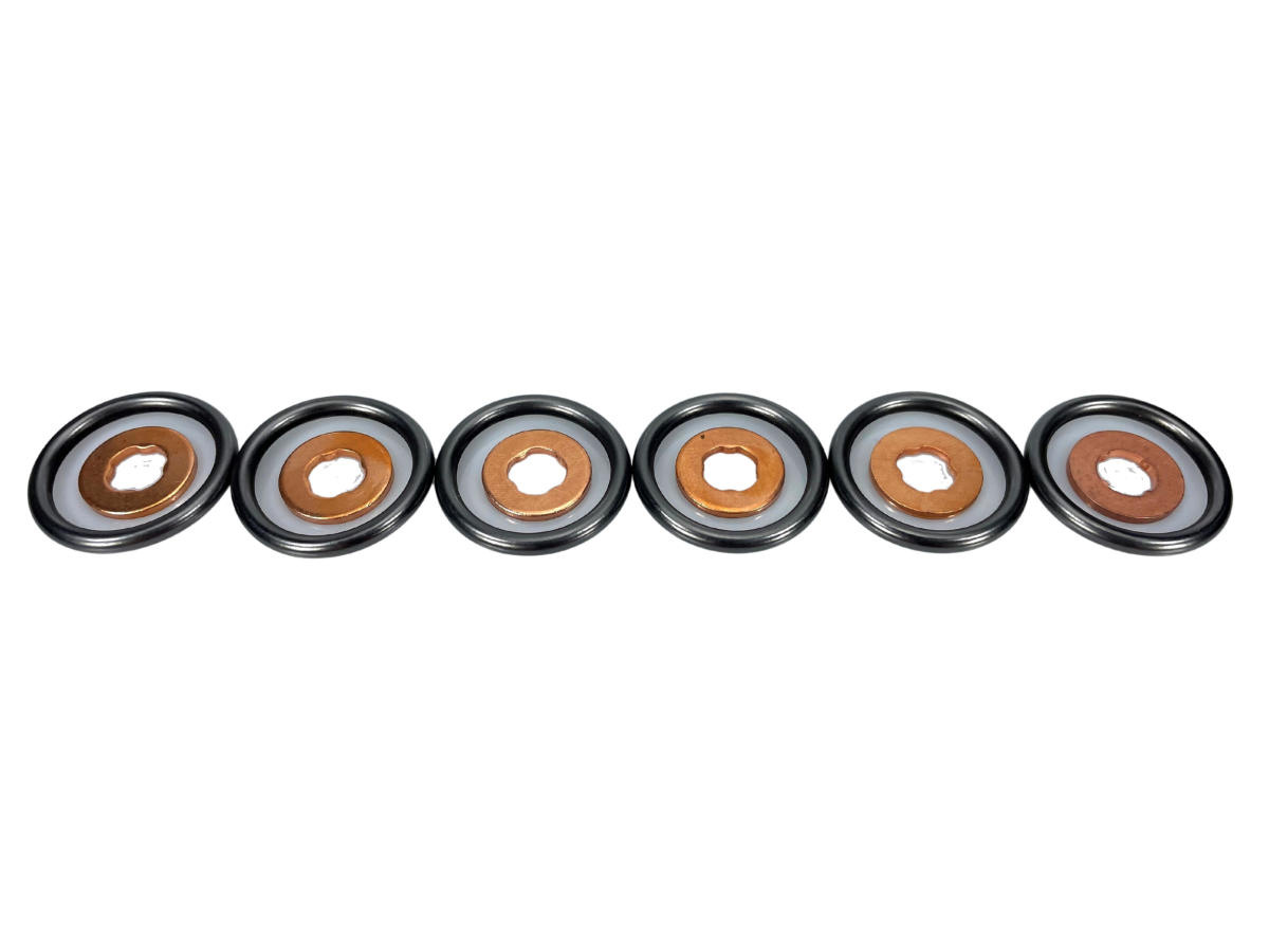 Exergy 2003-2007 Cummins 5.9 Seal Kit (O-Ring & Copper Gasket) (Set of 6)